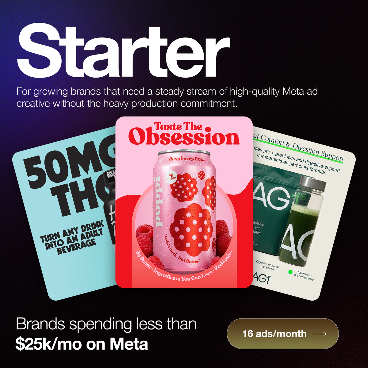 Starter Plan | 16 Ads Per Month