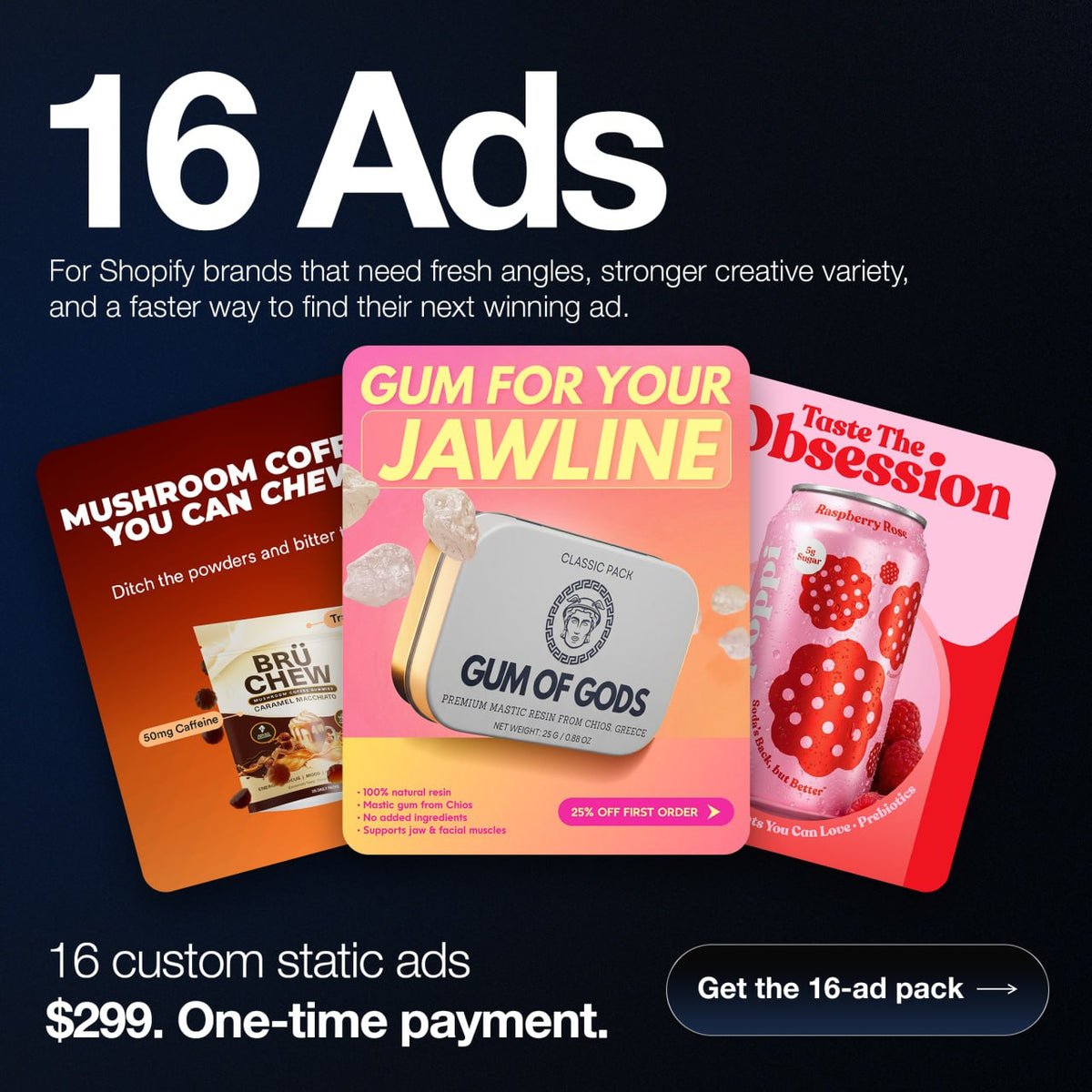 16 Custom Static Ads - Intro Offer